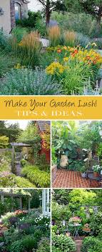 how to make your garden lush the