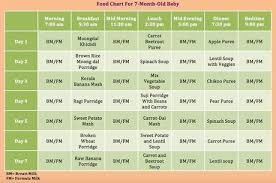7 month baby food chart daily meal