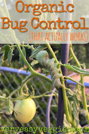 Organic Bug Control That Really Works