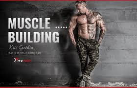 12 week muscle building trainer