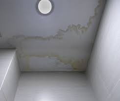 ceiling leak detection domestic