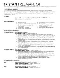 Healthcare Resume Template Example Document And Resume