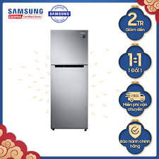 Shop bán Tủ lạnh Samsung hai cửa Twin Cooling Plus 308L (RT29K5012S8)