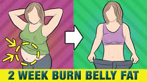 burn belly fat in 2 weeks abs workout