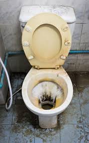 What Causes Black Stains In Toilet Bowl