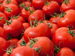 Post harvest loss reduction of Tomato THE GFAR BLOG 