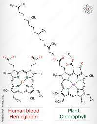 molecule skeletal chemical formula