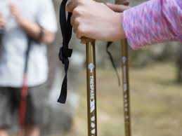 how to use walking poles tresp advice