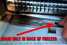 A quick peek inside the freezer door and the bin is full of ice, must be something wrong with the motor. How To Repair A Freezer Dripping Water Into Refrigerator Frozen Drain Tube