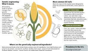 Pros And Cons Of Genetic Engineering Hrf