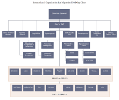 Iom Org Chart Sample