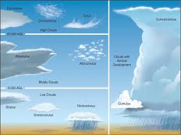 Infographic Cloud Identification Weather Prediction