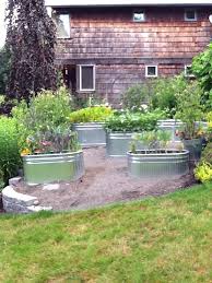 Galvanized Tubs Are Great For Raised