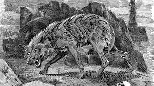 Mythes et réalités autour de la pleine lune : le loup-garou, de l'animal  légendaire à la maladie mentale | TF1 INFO