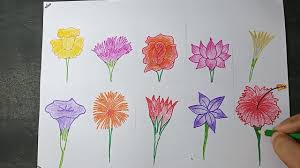 how to draw diffe types of flowers