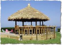 Image result for Tiki hut on beaches history