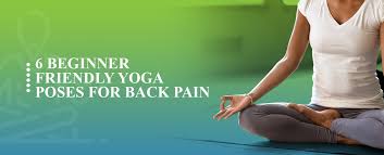 friendly yoga poses for back pain