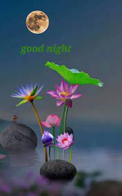 Pin by plants andpetals petals on good night & good evening | Good night  greetings, Good night sweet dreams, Good night for him