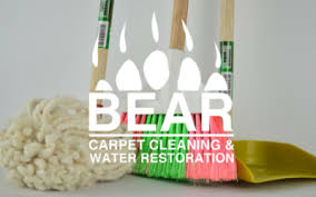 bear water restoration