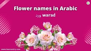Flower Names In Arabic English
