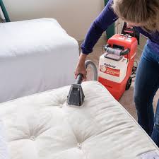 rug doctor carpet cleaner 48 hour