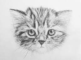 See more ideas about desene, desene în creion, desene animate. 23 Beautiful Sketches From Dribbble Web Design Ledger Animal Drawings Cats Art Pencil Cat Art