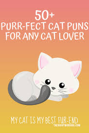 Two cats romantic valentine set. 50 Hiss Terically Purr Fect Cat Puns For Any Cat Lover
