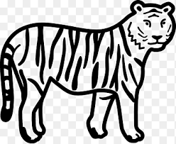 Le tigre du dessin n'a pas l'air bien méchant. Livro De Colorir Tigre Leao Pata Fofura Tigre Branco Mamifero Png Pngegg