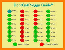 Ovulation Prevents Or Helps You Conceive
