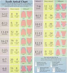 Teeth Arrival Chart Baby Growth Spurts Chart Tooth Chart
