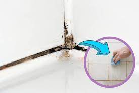 How To Clean Mould Off Bathroom Sealant