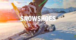 The Snowshoes Guide Sierra