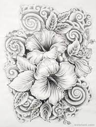 Drawings of roses are so beautiful to behold but not really recommended for novice artists to portray unless you are confident the results won't discourage you. 45 Beautiful Flower Drawings And Realistic Color Pencil Drawings