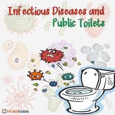 infectious diseases and public toilet