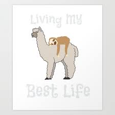 cute sloth llama living my best life