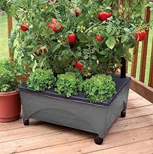 Raised Garden Bed Kit With Watering