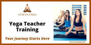 the 5 best yoga teacher training in nyc