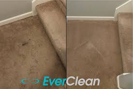 how to remove stains from your carpet