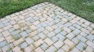 prevent weed growth between paving stones