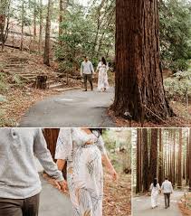 berkeley redwoods maternity photoshoot