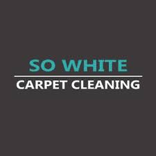 6 best north hollywood carpet cleaners