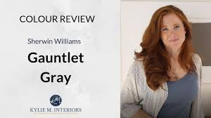 Check spelling or type a new query. Paint Colour Review Sherwin Williams Gauntlet Gray Sw 7019 Youtube