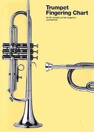Amazon Com Trumpet Fingering Chart For B Flat Trumpet