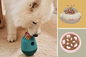 10 best slow feeder bowls for cats and dogs