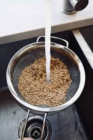 how to cook oat groats an easy