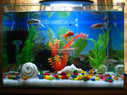 28 modern fish tanks that inspire