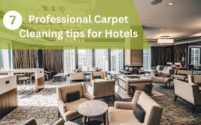 7 professional carpet cleaning tips for