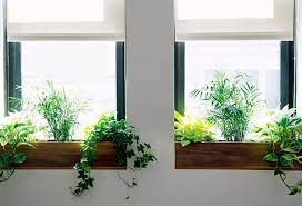 They can dress up a large picture window or a tiny apartment portal. The Sill Terrain Planting A Window Box Indoor Window Planter Indoor Window Boxes Window Ledge Decor