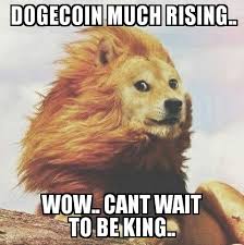 We will help you reach the top! The Rise Of Simbork The Doge King Dogecoin