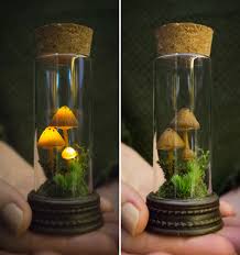 Glowing Mushrooms Made Of Pure Magic Bored Panda